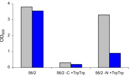 Abbildung 3-3: OD 600  nach  siebentägiger Inkubation  von E.  coli MG1655 (graue Balken) und pKD4-ΔtnaAB (blaue Balken) in 56/2-Minimalmedium, bzw