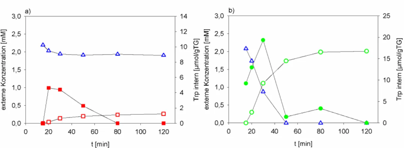 Abbildung 3-4: Konzentration von Ala-Tryptophan im Medium (blaues  ) und von Tryptophan in Cytoplasma (  ,  )  und  Medium  (  ,  )  in E