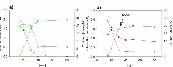 Abbildung 3-5: Konzentration von Ala-Trp im Medium (blaues  ) und von Tryptophan in Cytoplasma (  ,  ) und Medium (  ,  ) in E