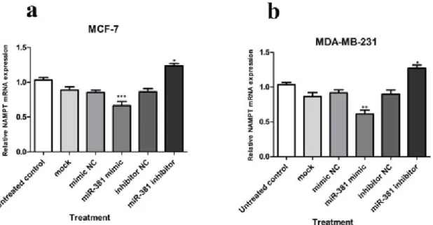 Figure 3: Relative NAMPT mRNA expression in (a) MCF-7 and (b) MDA-MB-231 cells transfected with  miR-381 mimic, inhibitor, their negative controls (NC), and mock compared to un-treated cells