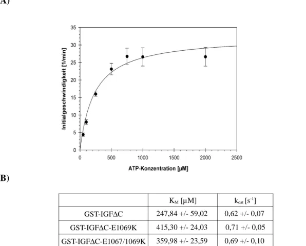 Abbildung 4.4.2: Bestimmung der kinetischen Daten für die ATP-abhängige Substratphosphorylierung der dimeren Kinasen.