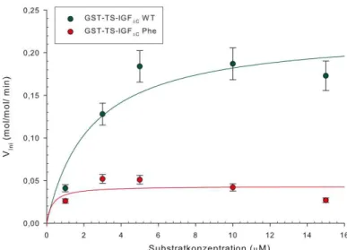 Abbildung 5.12.: Vergleich der Initialgeschwindigkeiten von GST-TS-IGF ∆C   und GST- TS- IGF C  Phe   für steigende Konzentrationen des Substrats GST-PTB 370 .