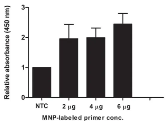 Figure 2: Optimization of primer concentration for  MNP-based PCR. Each concentration (2, 4 and 6  µg) of MNP-labeled forward primer was added in  the PCR reaction