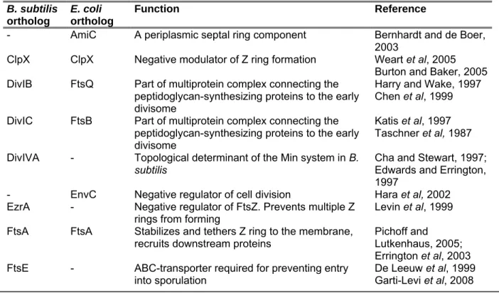 Table 1: Summary of B. subtilis and E. coli division proteins (adapted from Gueiros-Filho, 2007)  B