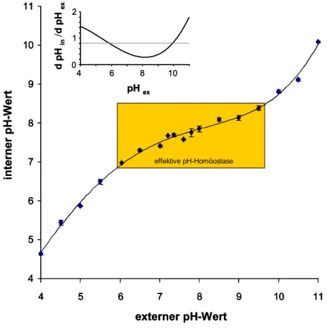 Abb. 3.1: Die pH-Homöostase in C. glutamicum. Für die Messungen wurden Wildtyp-Zellen  aus exponentieller Phase in Puffern mit unterschiedlichen pH-Werten in Anwesenheit von 25  mM NaCl, 25 mM KCl und 10 mM Glukose resuspendiert