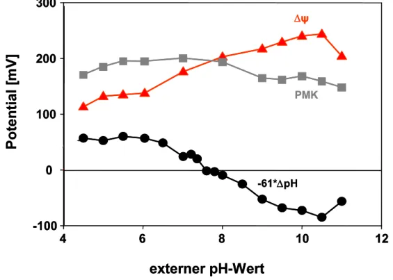 Abb. 3.2: Der pH-Gradient  ∆pH , das Membranpotential ∆Ψ (innen negativ) und die PMK in  mV