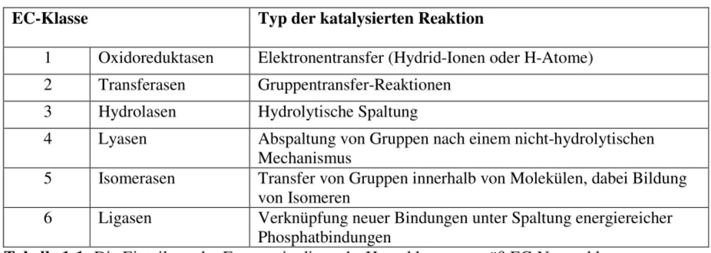 Tabelle 1-1: Die Einteilung der Enzyme in die sechs Hauptklassen gemäß EC-Nomenklatur