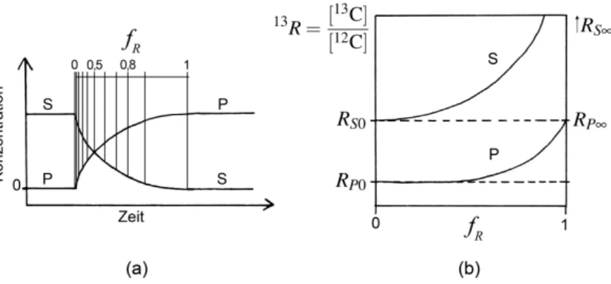 Abbildung 2.5.: Isotopenfraktionierung in einer unidirektionalen Reaktion S → P in einem geschlossenen System