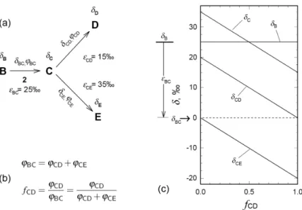 Abbildung 2.7.: Isotopenfraktionierung am Verzweigungspunkt von Stoffwechsel- Stoffwechsel-wegen