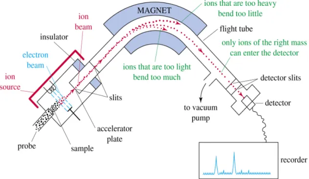 Figure 5: Schematic illustration of an EI-Mass Spectrometer. (image taken from Wikipedia -  http://en.wikipedia.org/wiki/Image:Mass_spectrom.gif)