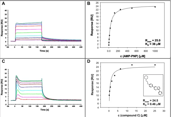 Figure 3.2.2.1-1: Results of surface plasmon resonance measurements that proved the accessibility of  the active site of AMPK_α2_1-339 for the non-hydrolyzable ATP-analog AMP-PNP and the inhibitor  compound C