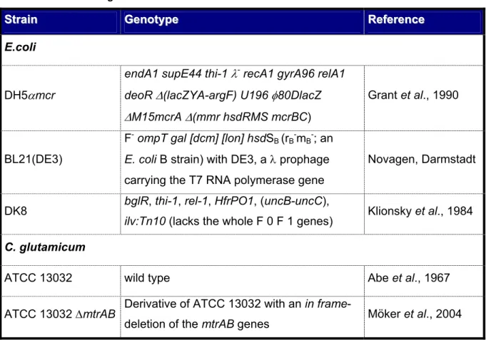 Tab. 1: E. coli and C. glutamicum strains that were used in this work.  