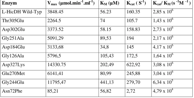 Tabelle 3-5. Kinetische Parameter der L-HicDH Wild-Typ und ihrer Mutanten  (Rohdatenmaterial siehe A