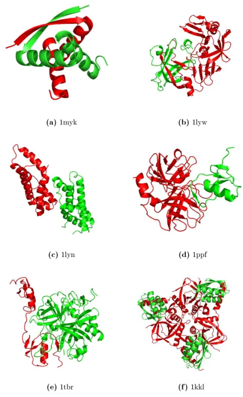 Figure 1.1: Selected examples for protein-protein interaction types (4-letter PDB- PDB-identier given): (a) obligate homomeric complex: P22 ARC repressor, (b) obligate heteromeric complex: human cathepsin D, (c) non-obligate homomeric complex: