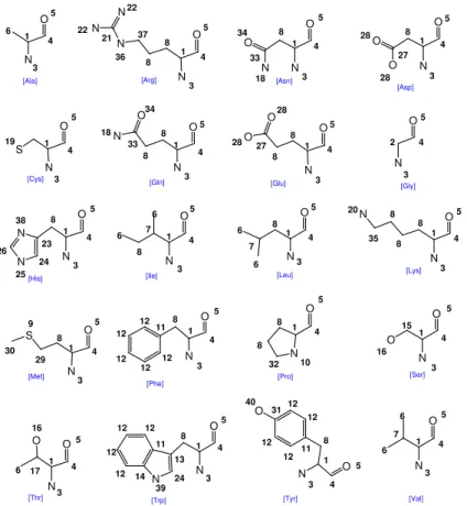 Figure 2.1: Classication of amino acid atoms in 40 atom types as proposed by Melo and Feytmans (1997).