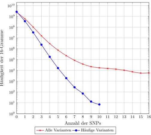 Abbildung 3.1: Häufigkeit von 16-Grammen mit entsprechender Anzahl von SNPs.