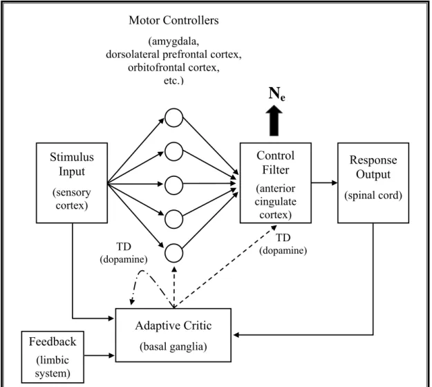 Abbildung 6: Modifiziertes Modell der Fehlerverarbeitung nach Holroyd und Coles (2002)