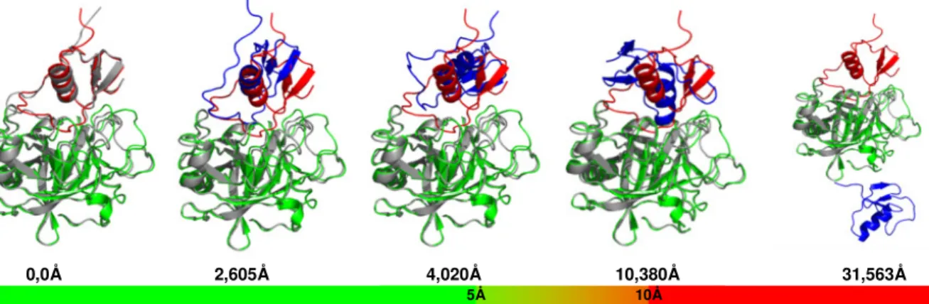 Abbildung 4.7: Strukturen von 1CGI mit unterschiedlichem RMSiCα. Die Struktur ganz links zeigt  die  ungebundenen  Proteine  (grün/rot)  auf  den  nativen  Komplex  (grau)  gelegt