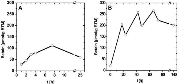 Abb. 6 Interne Betainkonzentration von C. glutamicum ATCC 13032 bei verschiedenen  Kultivierungstemperaturen