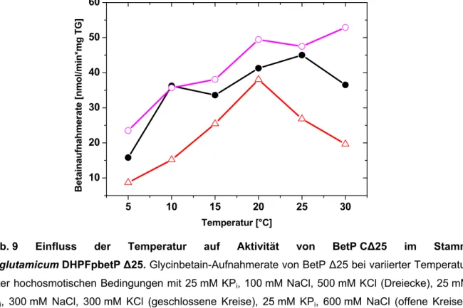 Abb.  9 Einfluss der Temperatur auf Aktivität von BetP  C∆25 im Stamm  C. glutamicum DHPFpbetP ∆25