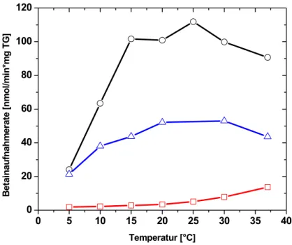 Abb. 11 Einfluss der Temperatur auf Aktivität von BetP im Stamm E.coli MKH13pbetP. 