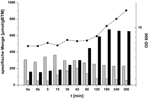Abbildung 4: Wachstum und interne Akkumulation von Aminosäuren im Wildtyp nach einem hyperosmotischen Schock von 0,9 auf 2,2 osm/kg in MMI-Medium