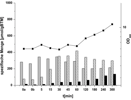 Abbildung  5:   Wachstum   und   interne   Akkumulation   von   Aminosäuren   im   13032ΔproA  nach   einem hyperosmotischen Schock von 0,9 auf 2,2 osm/kg in MMI-Medium