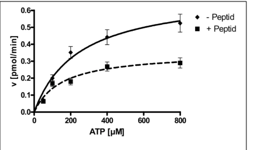 Abb. 4.6: Bestimmung des IC 50 -Wertes für das αD-Peptid in Substratphosphorylierungen  katalysiert von der Kinase GST-IRKD  