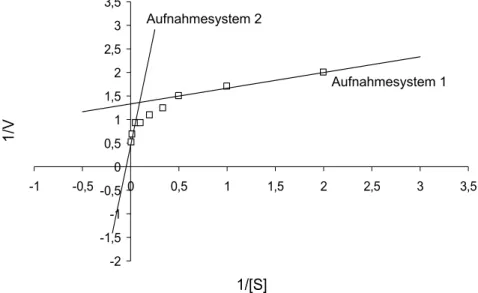 Abb. 3.2:  Lineweaver-Burk-Diagramm zur Ermittlung der K m -Werte und der Maximal-  geschwindigkeiten der L-Methioninaufnahme in C