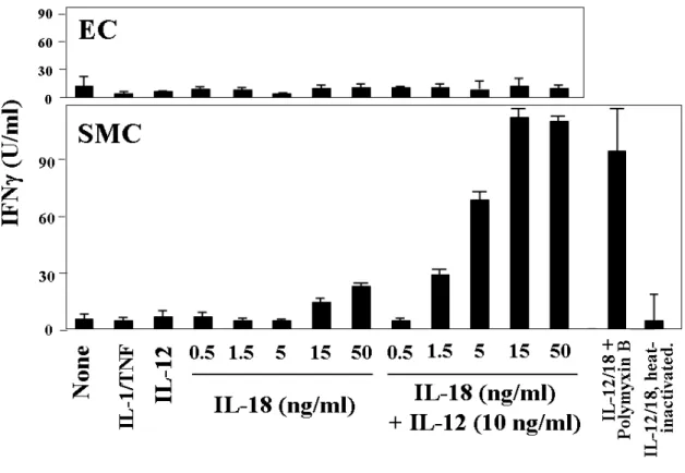 Figure 7: IL-18 induces IFNγ expression in human vascular smooth muscle cells. 