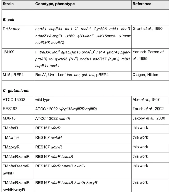 Table 1: E. coli and C. glutamicum strains that were used in this work. For strains that  were constructed as part of this work, a detailed description is given in the appendix