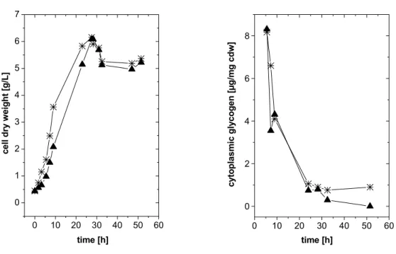 Fig. 5: Effect of the carbon source on bacterial growth and cytoplasmic glycogen synthesis of  C