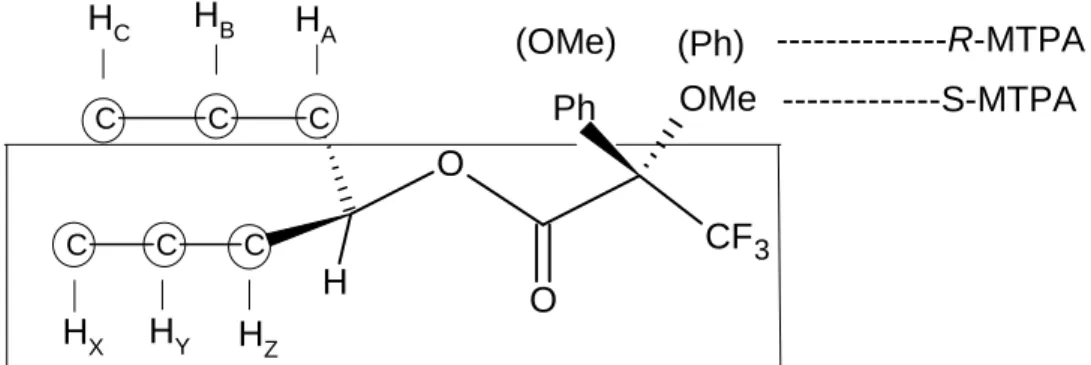 Abb. 3 : Modell der MTPA-Ester nach Kakisawa für cylische Verbindungen 
