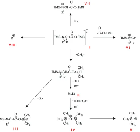 Abb. 1.4.  Massenspektrometrischer Fragmentierungsweg von TMS-α-Aminosäuren.