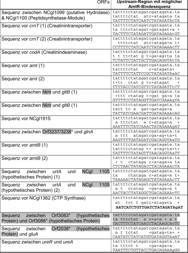 Tabelle 4: Putativ-regulierte Gene, die upstream des Startcodons eine mögliche AmtR- AmtR-Bindesequenz (untere Sequenz; obere Sequenz entspricht der ermittelten  Konsensussequenz; die mittlere der Übereinstimmung beider Sequenzen) aufweisen