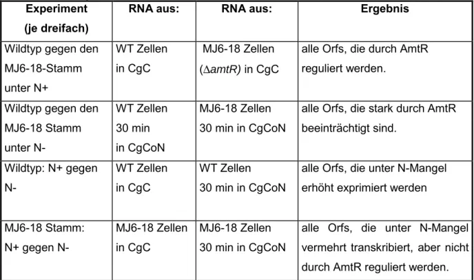 Tabelle 5:  Übersicht über die durchgeführten Chipexperimente, die eingesetzte RNA und  das erwartete Ergebnis 