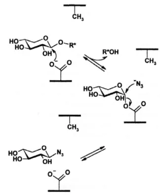 Abbildung 1-4 Schematische Darstellung der Wiederherstellung der Aktivität der Säure/Base Mutante  unter Verwendung eines Substrats mit guter Abgangsgruppe
