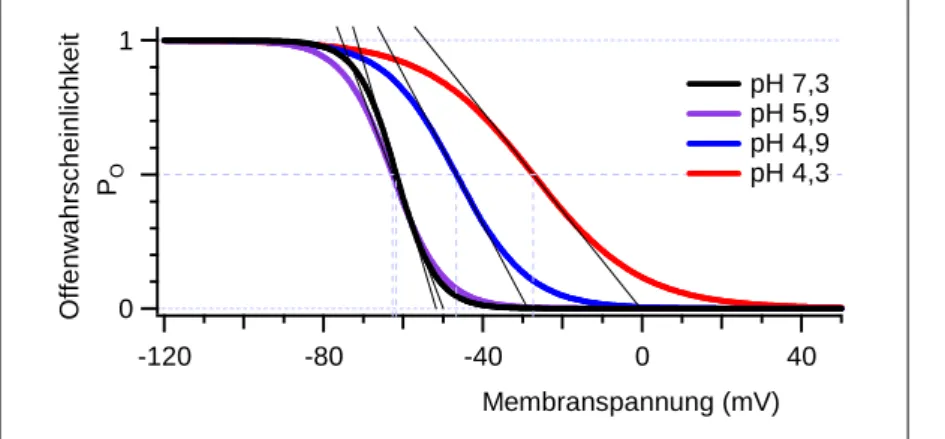 Abbildung  3-4:  Spannungsabhängigkeit  der  Offenwahrscheinlichkeit.  Die  Kurven  wurden  mit  der  Boltzmann- Boltzmann-Gleichung (Boltzmann-Gleichung 21) und den Parametern z und V 1/2  berechnet, die in Abbildung 3-3 B dargestellt sind
