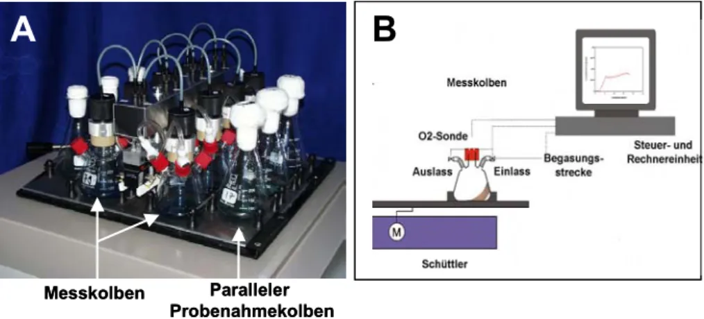 Abbildung 2.1: Aufbau der RAMOS-Messanlage. Der vollständige Aufbau der Anlage mit  Mess- und parallelen Probenahmekolben ist im Foto (A) und in der schematischen  Zeichnung (B) gezeigt