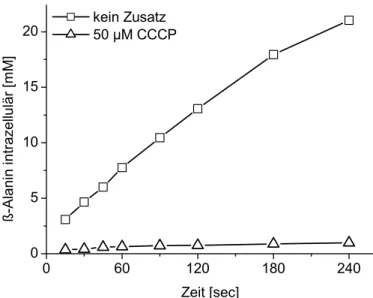 Abbildung 3.1: Aufnahme von β- β-Alanin durch E. coli MG1655 ohne  und mit Zusatz von 50 µM CCCP
