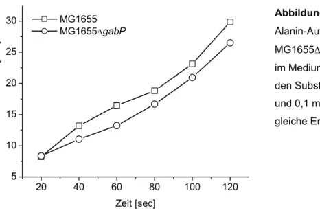 Abbildung 3.3 zeigt die Aufnahme von β-Alanin durch MG1655 und MG1655∆gabP bei 10  mM Substratkonzentration