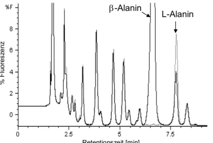 Abbildung 3.6: Chromatogramm  des intrazellulären  Aminosäure-pools von MG1655 nach Fütterung  von 1% LB-Medium mit (schwarzes  Chromatogramm) und ohne (graues  Chromatogramm) Zusatz von  β-Alanin (10 mM Endkonzentration)