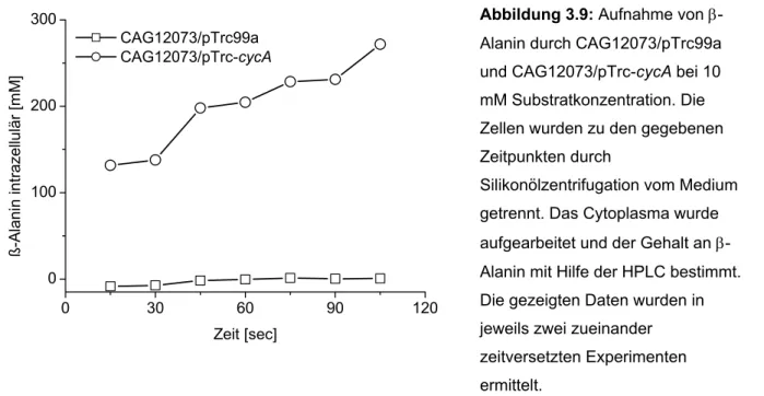 Abbildung 3.9: Aufnahme von β- β-Alanin durch CAG12073/pTrc99a  und CAG12073/pTrc-cycA bei 10  mM Substratkonzentration