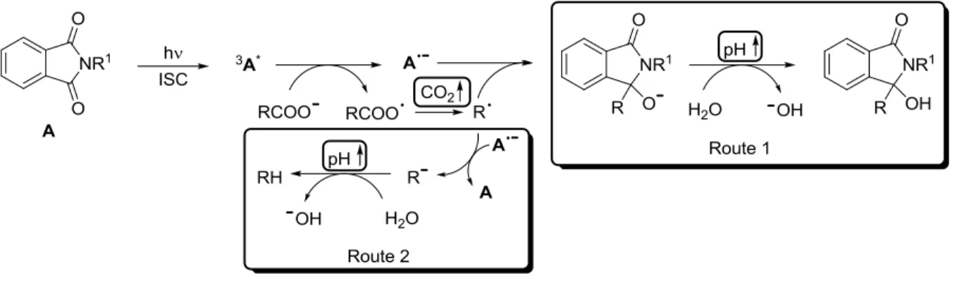 Abbildung 1: Photochemische, Phthalimid-induzierte Addition/Reduktion (Route 1) und Decarboxylierung  (Route 2) 