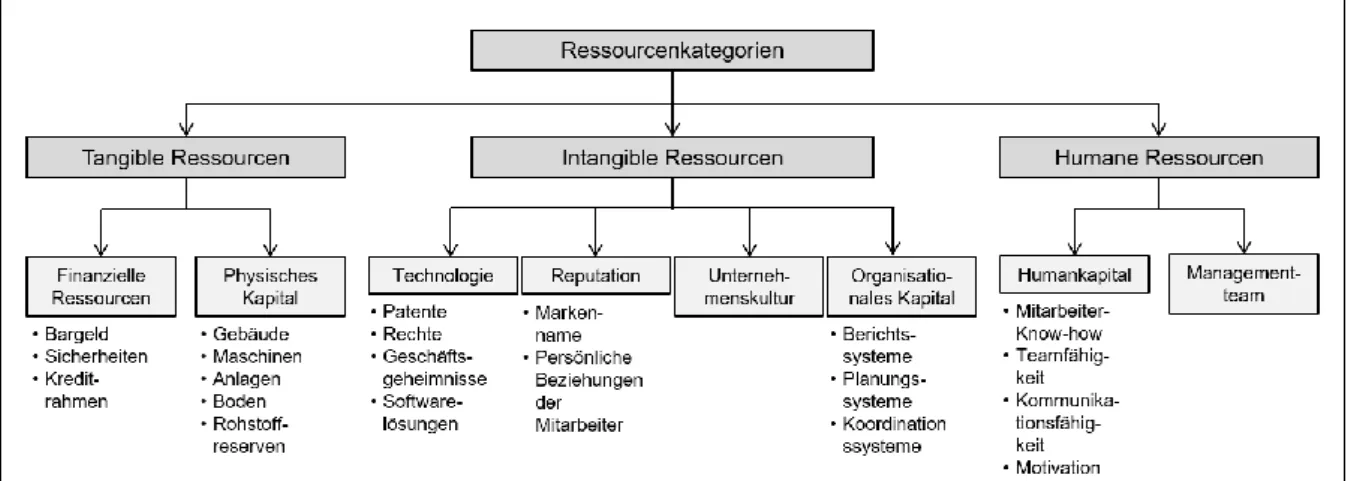 Abbildung 6: Ressourcenkategorien in Anlehnung an Barney (1991, S. 101, 106). 