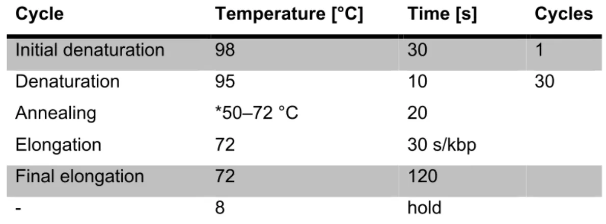 Table  2:  PCR-protocol  for  Q5®  High-Fidelity  DNA  Polymerase.  *The  annealing  temperature,  depends on the used primers