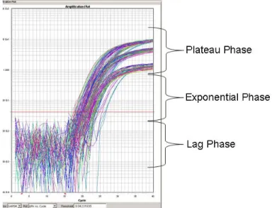 Figure 4.3 Example of a PCR product amplification plot. The red line denotes the 