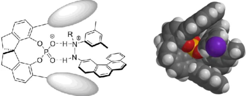Figure 3.1  Concept and 3D-model for the catalytic asymmetric synthesis of azahelicenes  via a long-range control by the catalyst