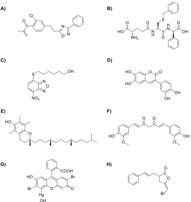 Abbildung 6 Strukturen literaturbekannter GSTP1-Inhibitoren: Etacrynsäurederivat mit Oxadiazolrest (A), TER117  (B), NBDHEX (C), Cumarinderivat (D), α-Tocopherol (E), Curcumin (F), Merbromin (G) und HEL (H)