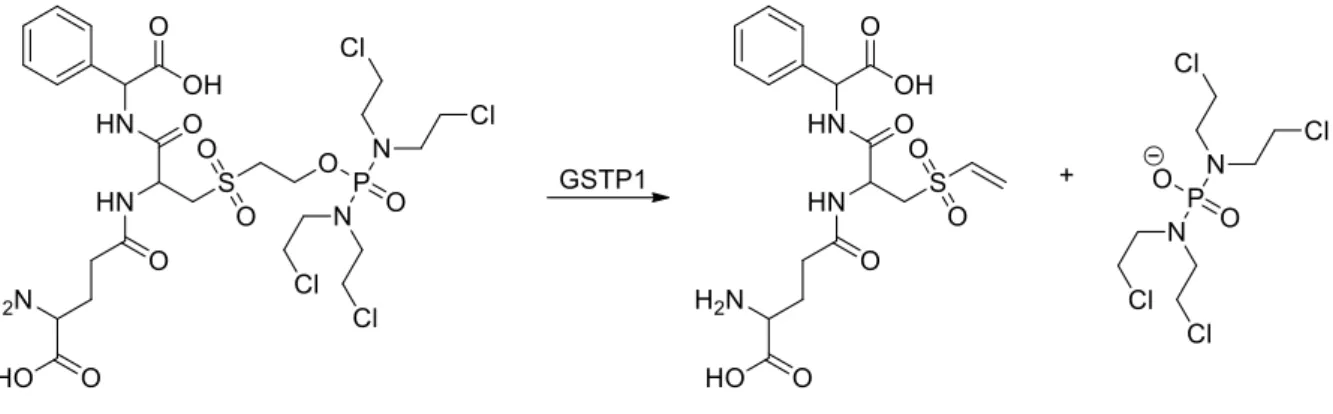 Abbildung 7 Aktivierung von Canfosfamid durch GSTP1. [56]